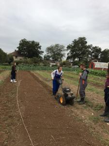 Βιωματική εκπαίδευση στο αγρόκτημα - Προετοιμασία αγρού για σπορά